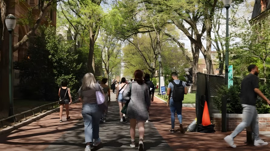 Students stroll along a tree-lined path on a sunny spring day