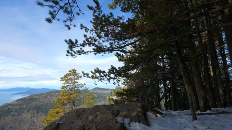 Hiking Oyster Dome