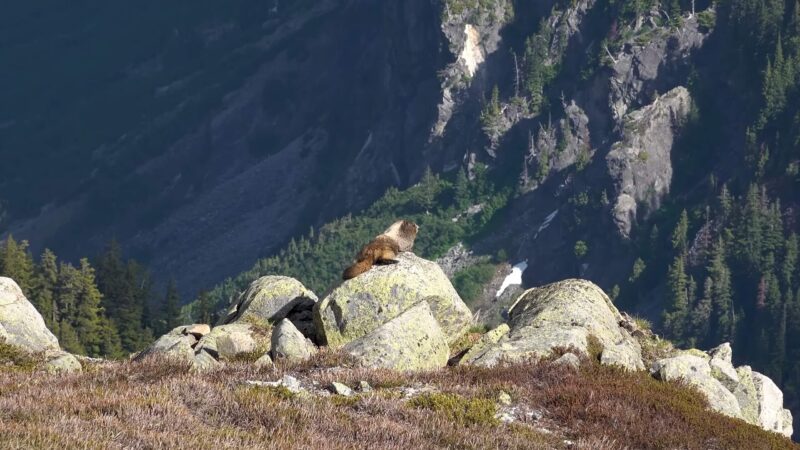 North Cascades National Park, Washington